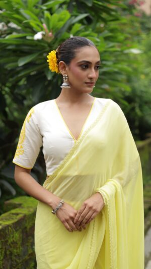 Basanti Abha Saree Set